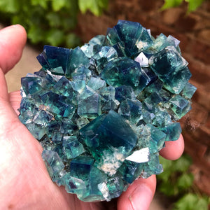 Diana Maria Daylight Fluorescent Fluorite