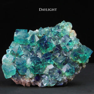 Daylight Fluorescent Fluorite England