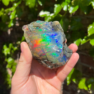Raw Rough Ethiopian Opal Crystal Mineral Specimen Water