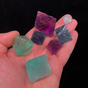 Fluorite Octahedron Set of 7