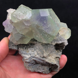 Raw Fluorite Crystal Mineral Specimen Green on Matrix