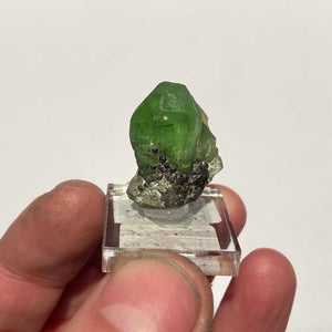 55.32ct Peridot Crystal Specimen with Ludwigite