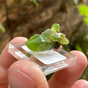 Green Peridot Crystal Mineral Specimen Raw