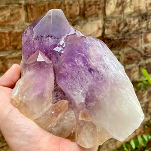 Bolivian Amethyst Crystal Cluster Mineral Specimen