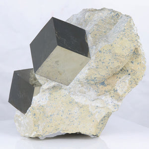 Raw Natural Pyrite Cubes in Host Rock