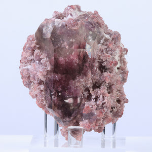 lepidolite in quartz