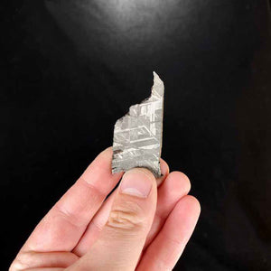 Muonionalusta Meteorite specimen