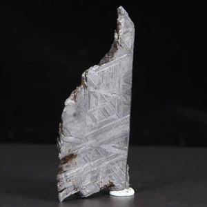Muonionalusta Meteorite Slice