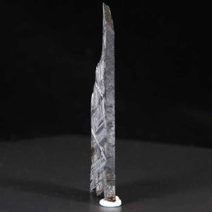 Muonionalusta Meteorite Slice