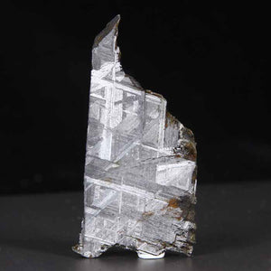 Muonionalusta Meteorite Slice