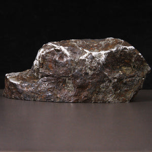 Natural Muonionalusta Meteorite from Space