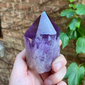 Ametrine Raw Natural Crystal Mineral Specimen