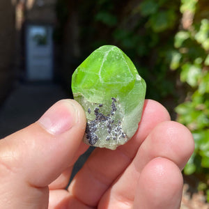 Raw Natural Peridot Crystals