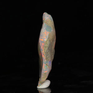 22.90ct Large Face Ethiopian Opal Rough
