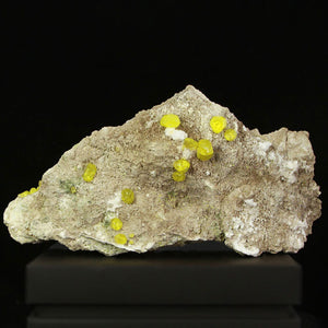 Yellow Sulfur Crystals on Matrix Bolivia