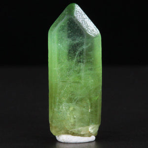 Long Peridot Crystal Mineral Specimen