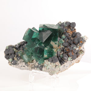 Rogerley Diana Maria Fluorite Crystal Specimen England