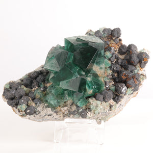 Diana Maria Fluorite and galena Mineral Specimen
