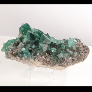 Diana Maria Fluorite Mineral Specimen