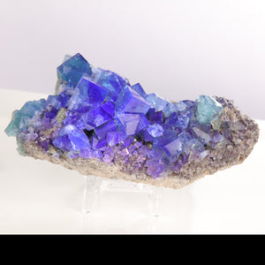 Diana Maria Fluorite