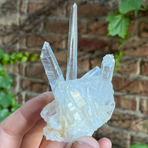 Long thin Quartz Crystal Cluster