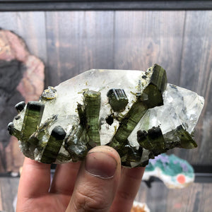 Brazil Tourmaline on quartz