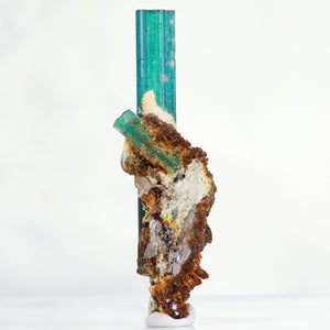 Tourmaline Crystal on Matrix Brazil