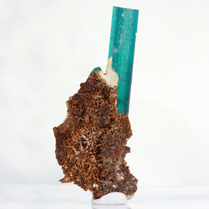 On Matrix Tourmaline Crystal Mineral Specimen