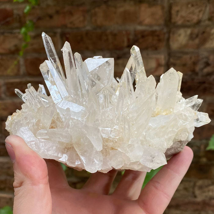 Spikey Sharp Clear Quartz Crystal Cluster Colombia