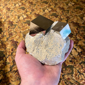 Large Cube Pyrite Crystal Cubes on Rock