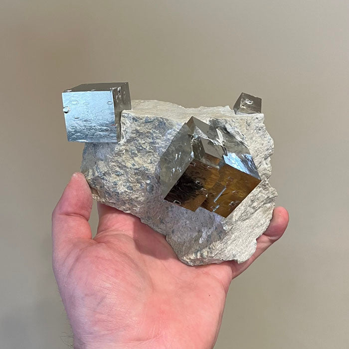 Cubic Iron Pyrite Crystal Specimen on Host Rock