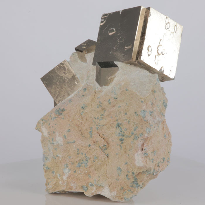 Pyrite Cubes on Marl