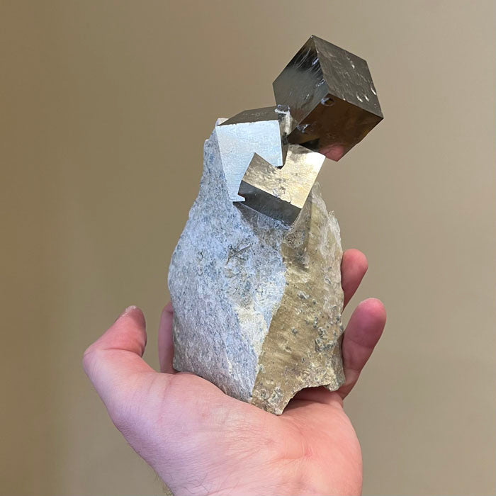 Tall pyrite crystal cluster on limestone