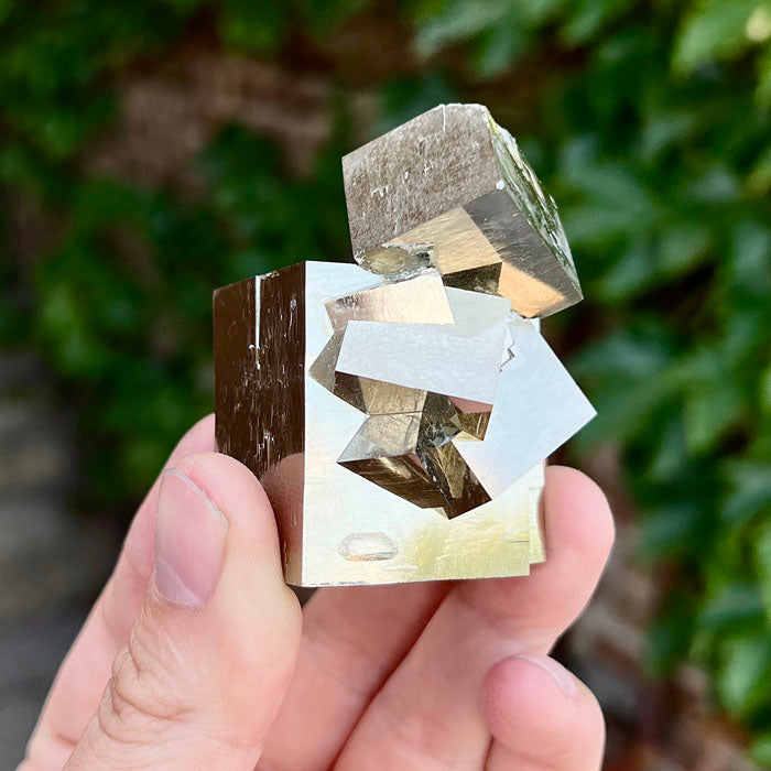 Pyrite cube crystal cluster