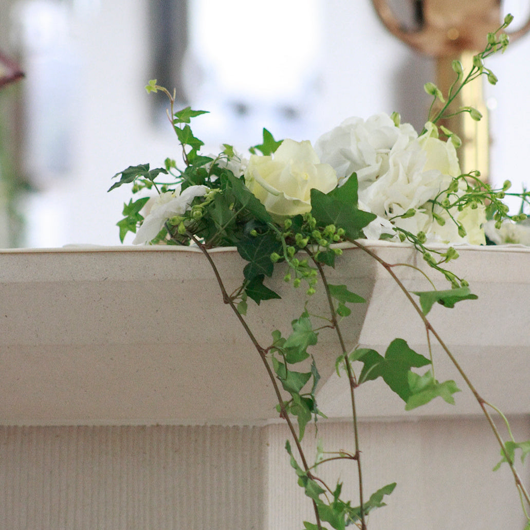 Daylight Fluorescent Fluorite