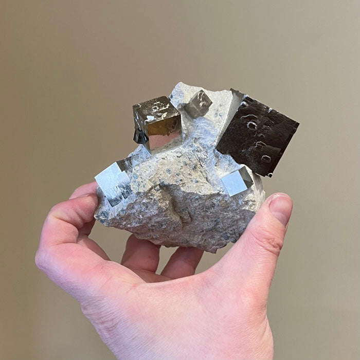 Pyrite Cubes on Host Rock