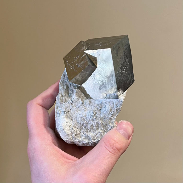 Cubic Pyrite Crystals on Matrix