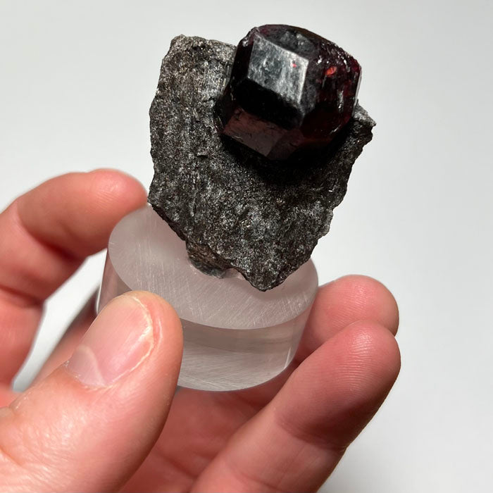 size of garnet in hand raw