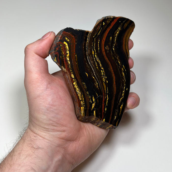 stromatolite tiger iron slab red gold black bands