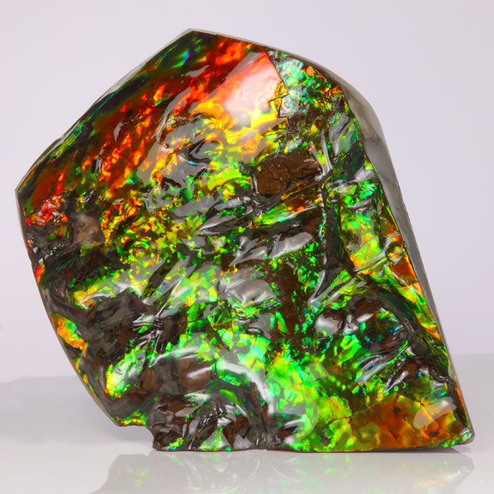 Ammolite from Canada