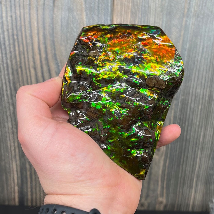 Ammolite from Canada