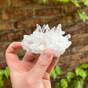 Natural Clear Quartz Crystal Specimen