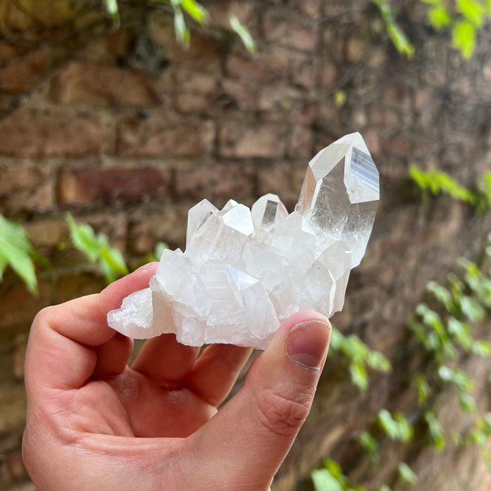 Ron Coleman Quartz Crystal Cluster