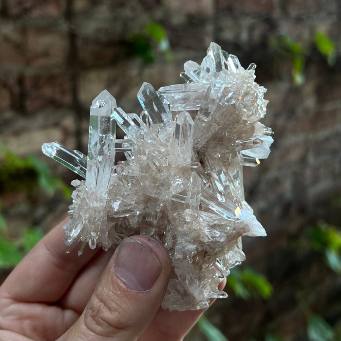 Colombia Quartz Crystal Cluster