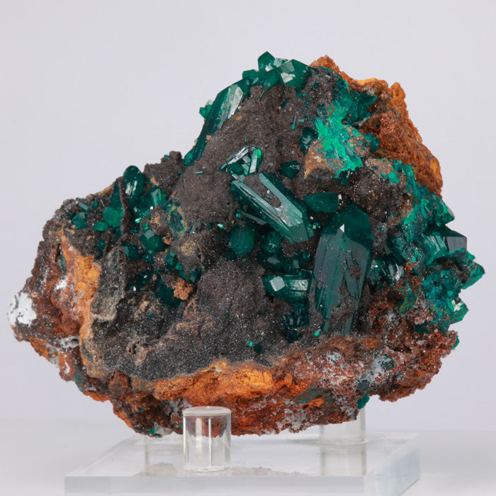 Dioptase crystal specimen green gemmy 