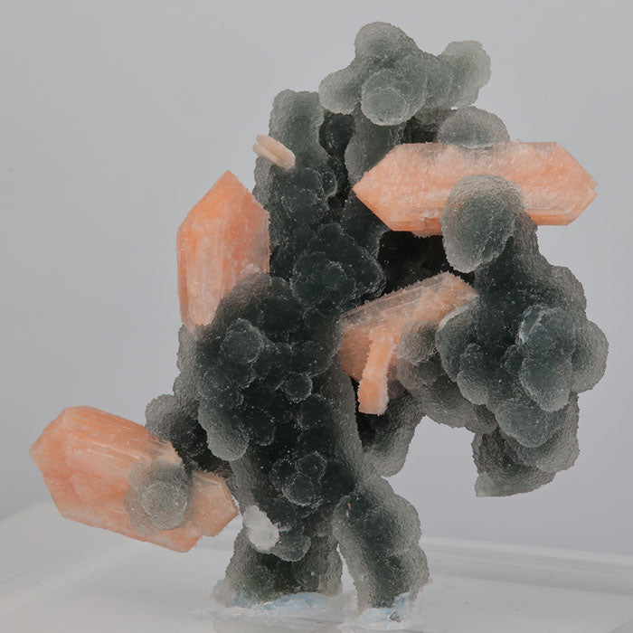 Stilbite and chalcedony india
