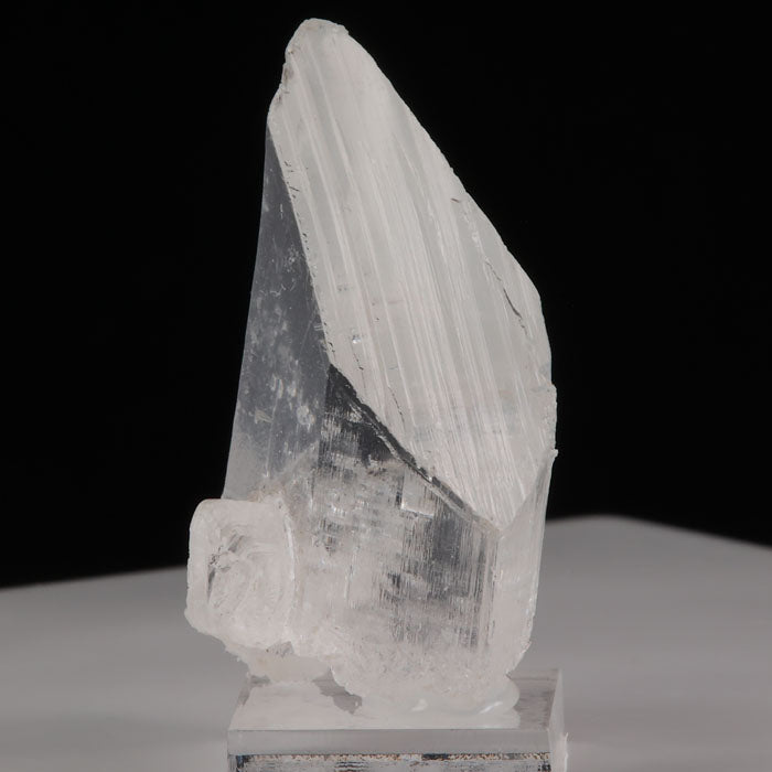 Transparent selenite crystal mineral specimen from mexico