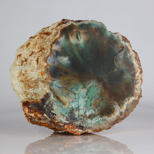 Fossil wood from Zimbabwe chromium green