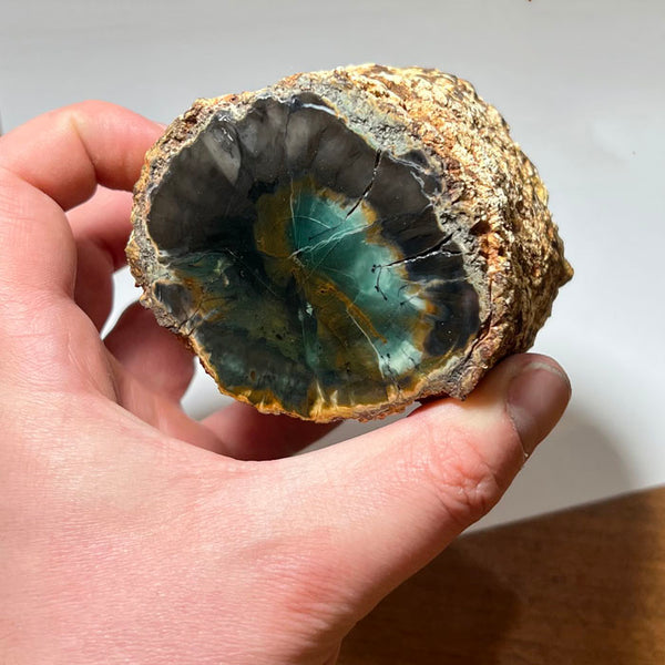 CrystalSpecimensinhand7_600x.