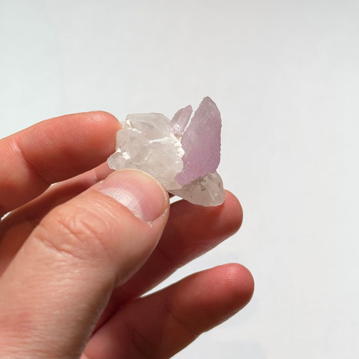 Soft Pink Kunzite Crystal Blades on Quartz - Mavi Pegmatite Afghanistan 20.11 Grams